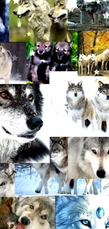 Collage of wolves in natural and artistic settings for mobile wallpaper.