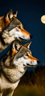 Majestic wolves under a full moon in a dark blue night sky wallpaper.