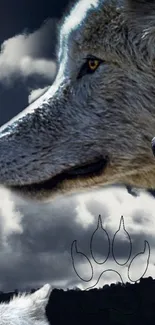 Close-up view of a majestic wolf under a cloudy sky.