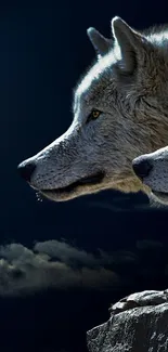 Two wolves under a dark moonlit sky, creating a majestic wildlife scene.