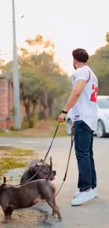 Man walking two dogs outdoors in a scenic neighborhood during sunset.