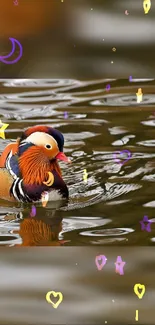 Colorful Mandarin duck on water with star accents.