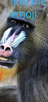 Mandrill with colorful face and hidden emoji.