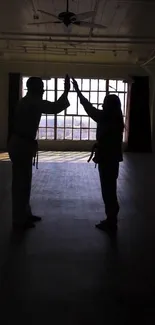 Silhouette of two martial artists high-fiving in front of a large window.