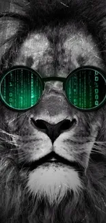 Lion wearing digital matrix sunglasses on a stylish phone wallpaper.