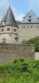 Scenic view of medieval castle with lush green surroundings.