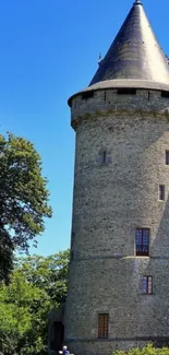 Medieval castle tower with a blue sky backdrop and lush greenery.