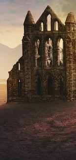 Medieval castle ruins silhouetted at sunset.