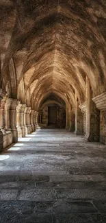 Medieval stone archway with soft lighting and shadows.