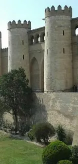 Medieval stone castle with lush green garden under a clear sky.