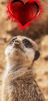 Meerkat gazing at heart on earthy background.