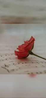 Red rose on vintage music sheet wallpaper.