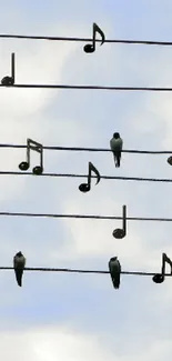 Birds form musical notes on wires against a sky backdrop in this artistic wallpaper.