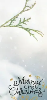 Merry Christmas snowy branch wallpaper.