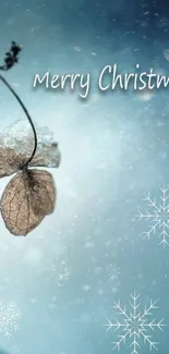 Merry Christmas wallpaper with frosty leaf and snowflakes.