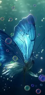 Elegant blue butterfly with light effects on a mobile wallpaper.