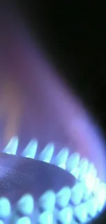 Blue flame from a gas burner, close-up.