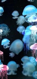 Blue jellyfish floating in deep, dark ocean depths, creating a serene wallpaper.