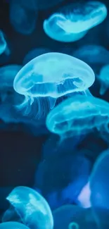 Mesmerizing blue jellyfish floating underwater in vibrant colors.