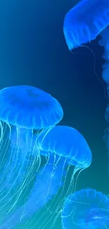 Blue jellyfish glowing under water, creating a serene and captivating oceanic scene.