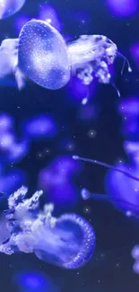 Mesmerizing blue jellyfish glide gracefully in a deep ocean background.