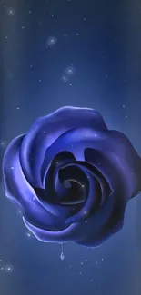 Beautiful blue rose on a starry night background wallpaper.