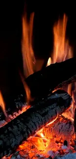 Mobile wallpaper of burning logs and flames, creating a warm, vivid ambiance.