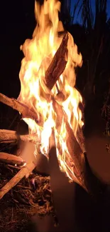 Vivid campfire blazing at night, surrounded by darkness and nature.