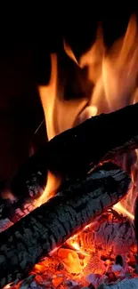 Burning logs with vibrant campfire flames against a dark backdrop.