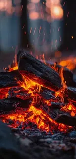 Close-up of burning embers in a campfire, glowing with intense orange light.