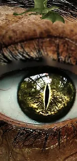 Close-up of a detailed dragon eye with an olive green iris and intricate design.