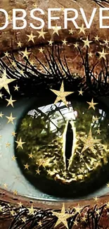 Close-up of eye with golden stars and 'observe' text, artistic wallpaper.