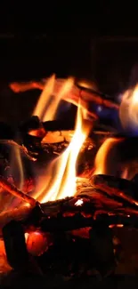 Close-up of blazing fire flames.