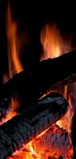 Firewood burning with orange flames in a dark setting.