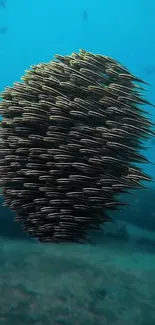 A swirling swarm of fish in deep blue ocean waters.