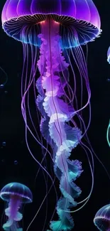 A mesmerizing wallpaper of glowing jellyfish in vibrant purples and blues.