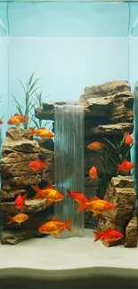 Vibrant aquarium with goldfish and rocks.