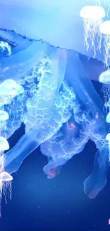 Vibrant jellyfish with glowing tentacles in deep blue ocean.