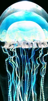 Glowing jellyfish in dark water with vibrant blue hues and delicate tentacles.