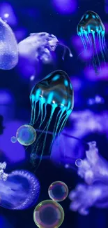 Vibrant jellyfish glowing underwater with blue and purple hues.