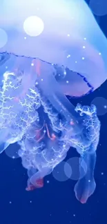 Glowing jellyfish in deep blue ocean wallpaper.