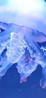 Blue jellyfish glowing underwater with vibrant light