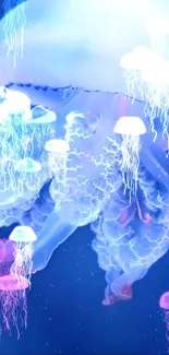 Mesmerizing jellyfish glowing in neon colors for mobile wallpaper.