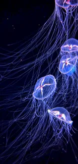 Glowing jellyfish swimming in the dark ocean depths.