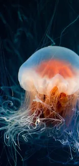 Luminescent jellyfish with light trails on a dark ocean background.