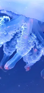 Jellyfish glowing in vibrant blue hues underwater.