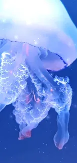 Vibrant blue jellyfish with glowing tentacles in deep sea background.