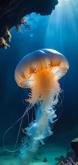 Glowing jellyfish in an underwater cave.