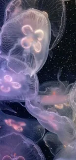 Mesmerizing wallpaper of ethereal jellyfish floating underwater.