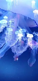 Bioluminescent jellyfish glowing in deep blue ocean backdrop wallpaper.